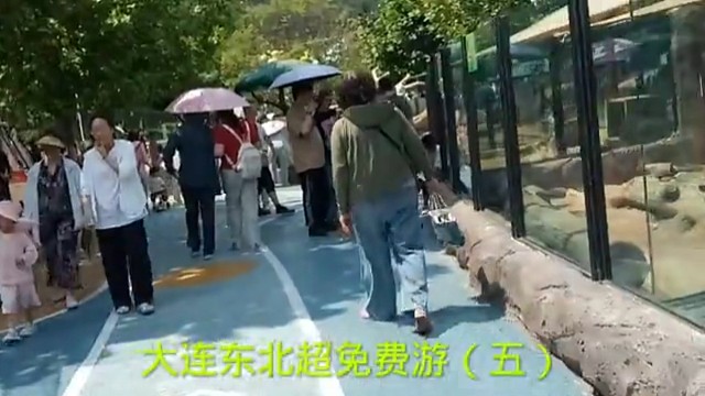 大连东北超免费游（五）