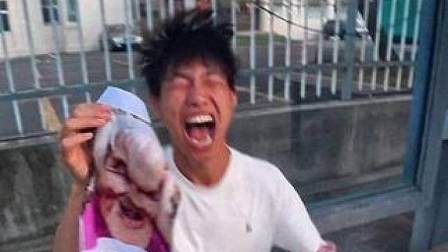 拿莫名其妙的表情包去寻人启示