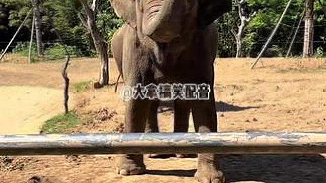 搞笑配音