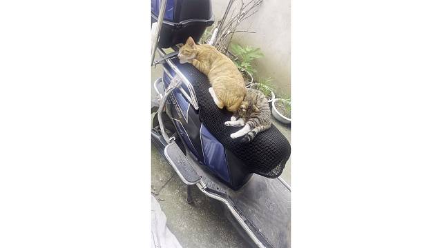 睡的香
