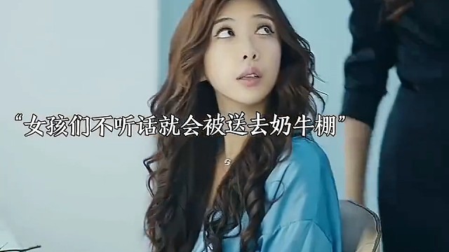 不听话的女孩就会送去奶牛棚#好剧推荐