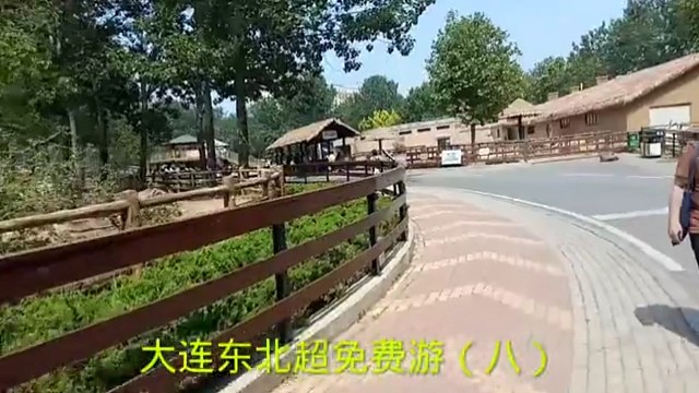 大连东北超免费游（八）
