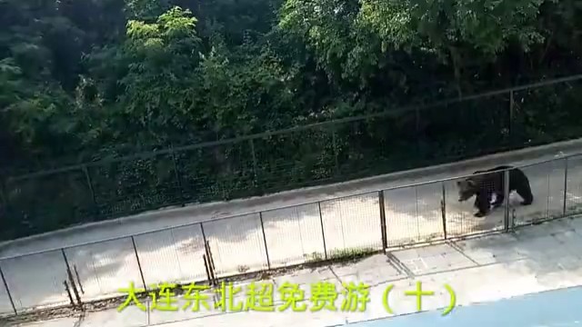大连东北超免费游（十）