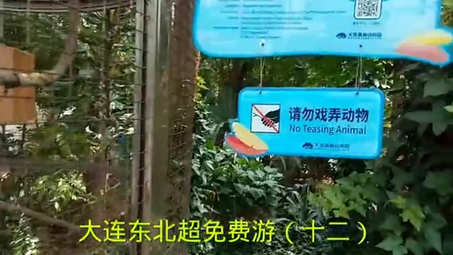 大连东北超免费游（十二）