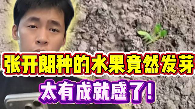 张开朗种的水果竟然发芽！太有成就感了！
