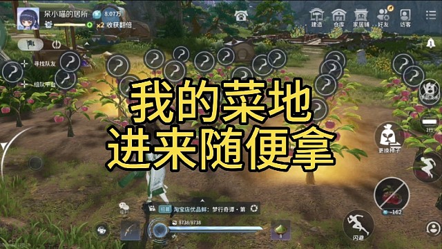 没有放置宠物猫，也没有设置保护时间，快来偷菜吧～