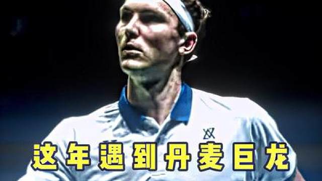 那年应该算是安赛龙统治时期的开端吧，压的国羽男单抬不起头！