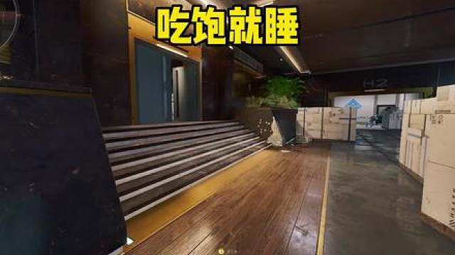 吃饱就睡