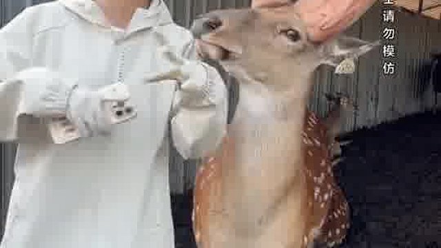 竟然敢反抗