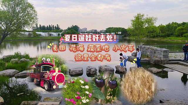 共筑首善北京# 大美顺义 北京温榆河公园（故城记忆）步道平缓适合散步游园，园内开满鲜花，大片麦田超好