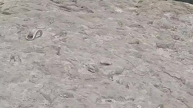 贵州鹰嘴岩边上发现攀岩爱好者打的钢钉，留下会给后面的带来隐患