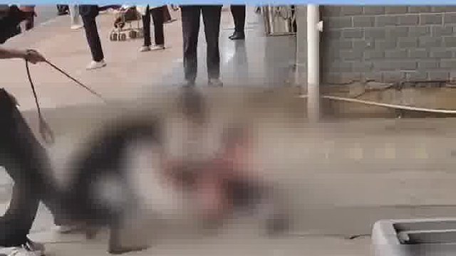 猎犬当街撕咬小女孩的腿 骨头被咬穿，过路男子棍打恶犬救人反被误会！男子：我不是狗主人 我不上的话小女