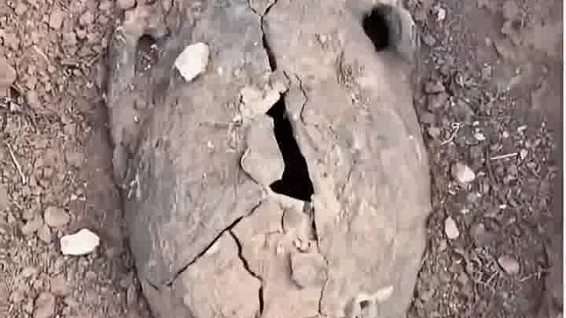 损失惨重