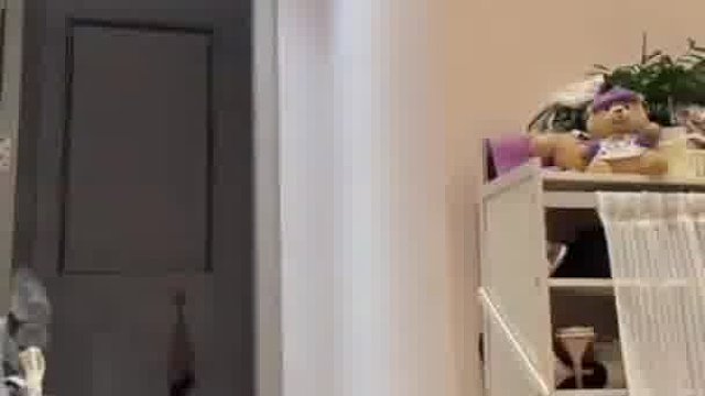 玩倒立吗？我也会