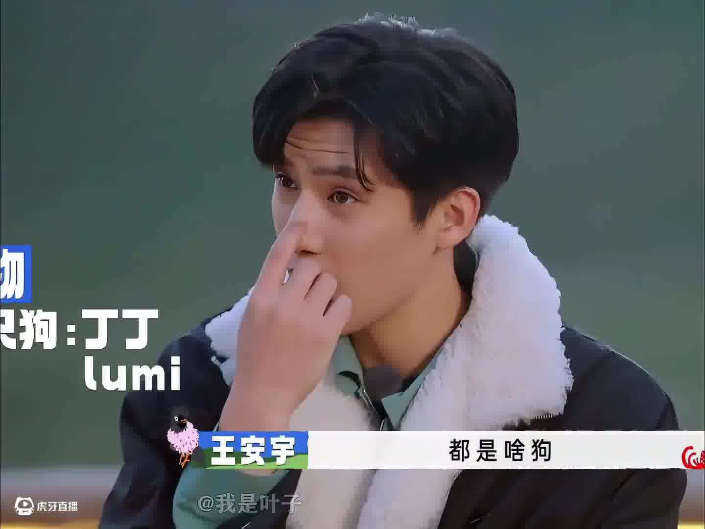 当金晨介绍自己的狗狗