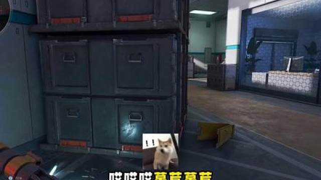 《哈 吉 蜂 起 不 对》
