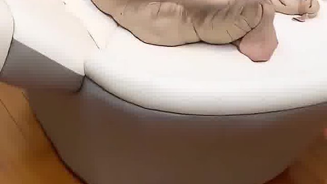奇怪的动物