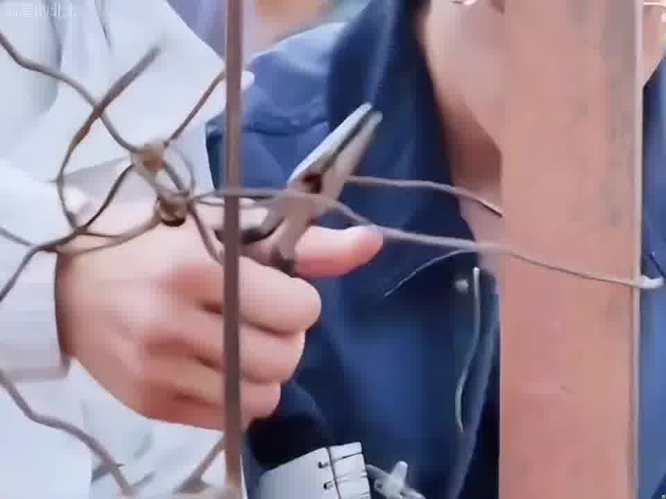 哈哈哈，笑不活了