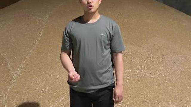 小麦价格每天都在不断的更新，小麦最新价格