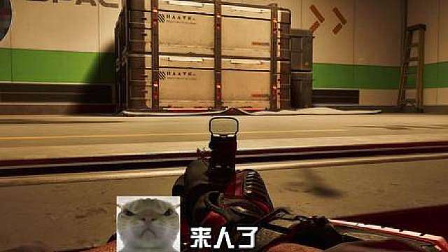 带护航玩夺舍！
