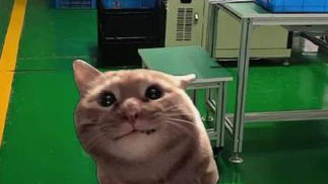 跑路了兄弟跑路了