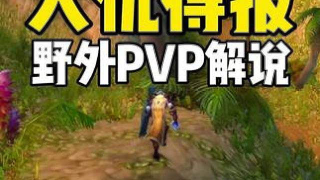 邪不胜正 大仇得报 野外PVP解说