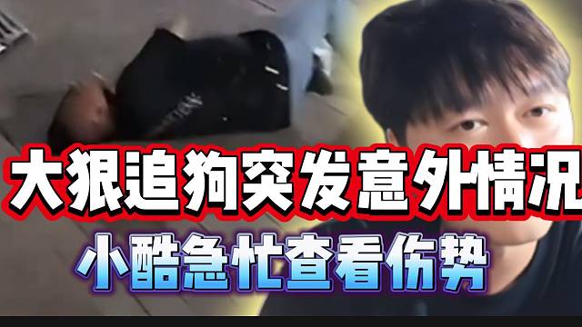 大狠追狗时突发意外情况！小酷急忙上前查看伤势！