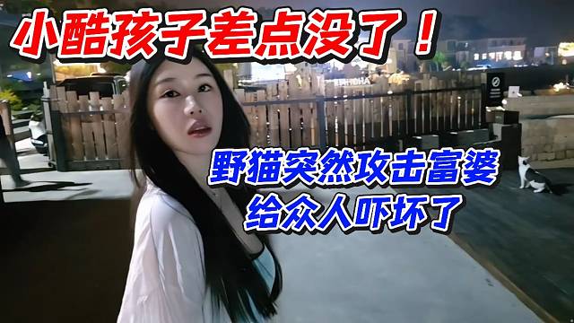 小酷孩子差点没了！野猫突然攻击富婆给众人吓坏了