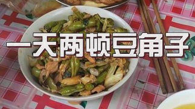 家人们，谁懂啊！ 自家菜园豆角已成熟，开始了一天两顿豆角子生活，可以吃到七八月份，有遭得住的不，你们