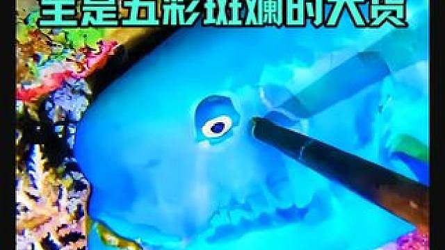 渔民深夜潜到海底捕鱼实录，五彩渔获远超海洋馆