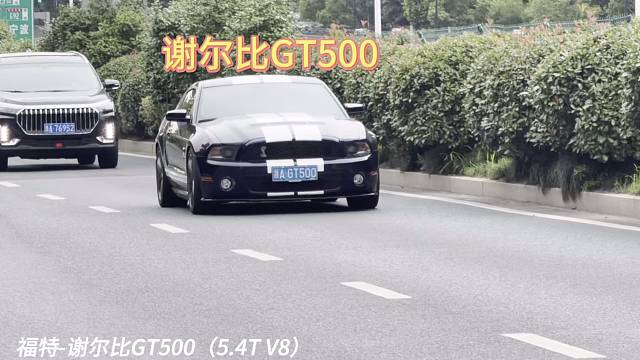 《谢尔比GT500》