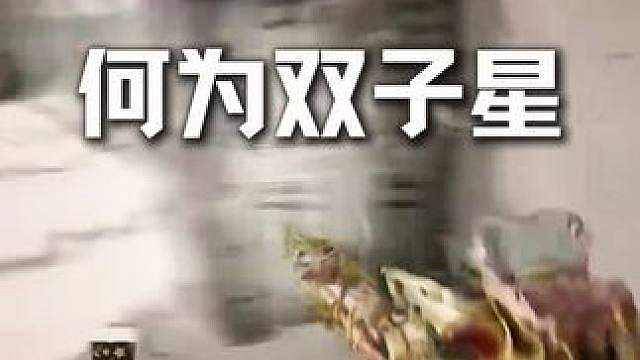 何为双子星