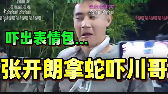 张开朗拿白蛇吓川哥，直接给吓出表情包？