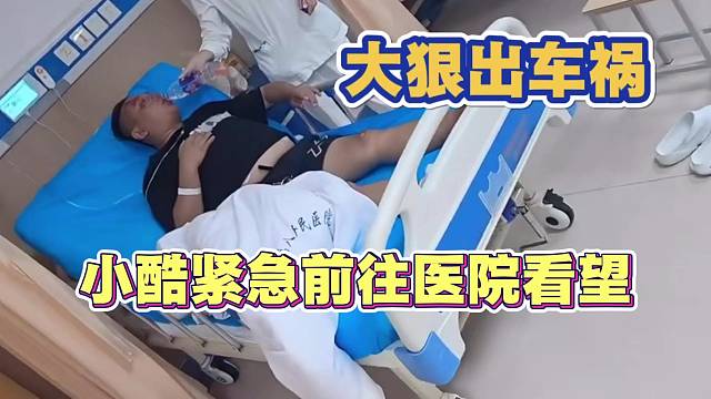 大狠出车祸 小酷紧急前往医院看望