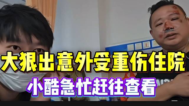 大狠出意外受重伤住院，小酷探望又可怜又好笑！