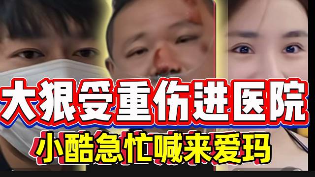 大狠受重伤进医院，小酷急忙喊来爱玛陪护！