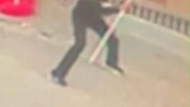 下坠瞬间一把伞接住生命！土耳其男子惊险救下八楼坠猫