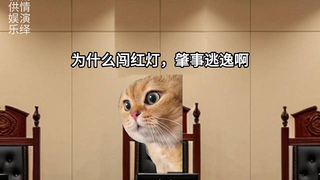 这一次真是大意了 #猫meme #猫meme日常 #搞笑 #AI