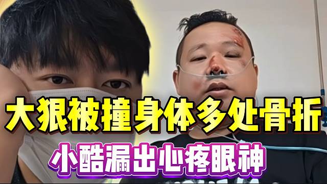 大狠被撞身体多处骨折，小酷漏出心疼眼神！