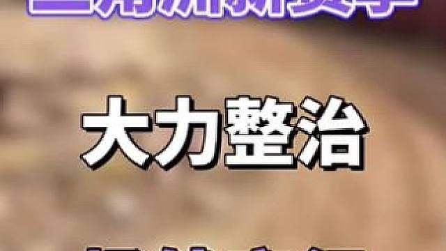 三角洲大力整治场外商行