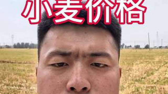 今天小麦价格微涨，老乡们可以看一下，祝老乡们都能卖个好价钱。