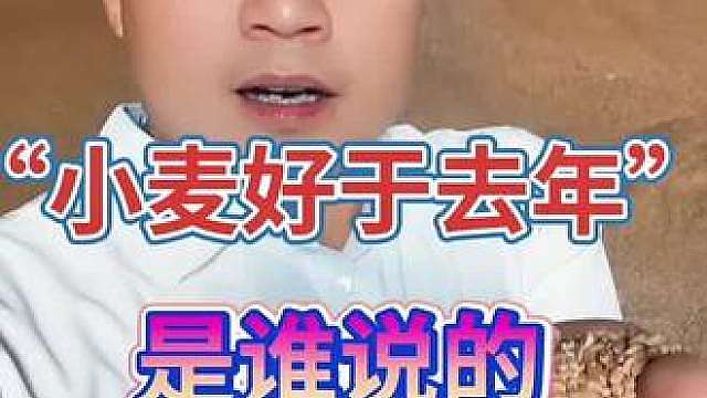 “小麦好与去年”是谁说的 、又落价啦 “小麦好与去年”是谁说的 、又落价啦
