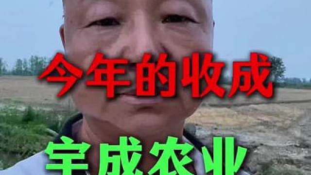 5000亩的收益