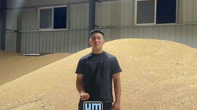 小麦最新价格