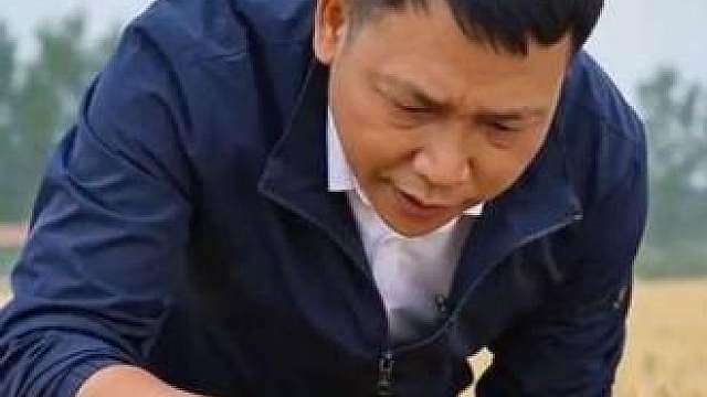 今年全国小麦再获丰收 麦浪翻金，今年全国小麦再获丰收！从南到北，收割机穿梭田间，麦粒饱满归仓。虽历经播期推迟、苗情偏弱等挑战，却靠科技助力、政策支撑迎来佳绩。这是农民汗水结晶，更是大国粮仓的坚实底气！