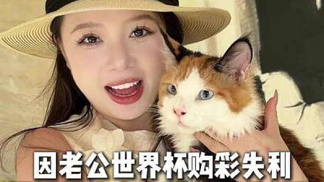 养户绝美三花缅因特殊情况喵姐收来了。