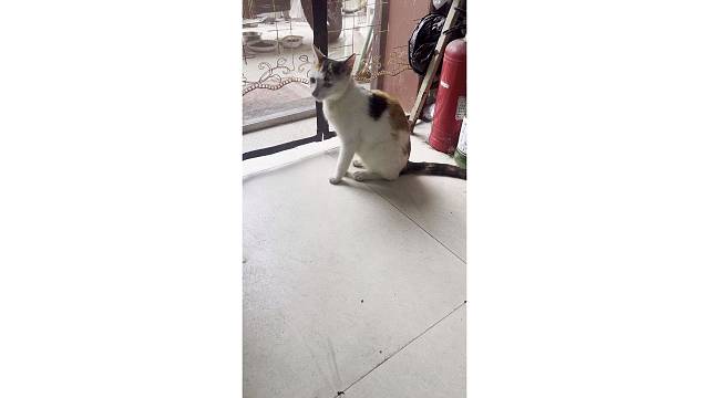 家里转一圈