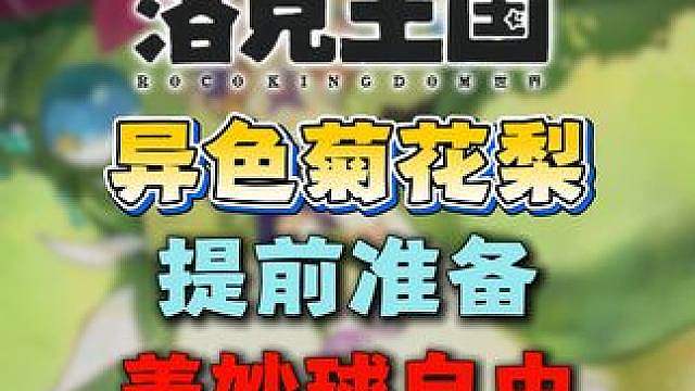 菊花梨大量出没！提前做准备！咕噜球/美妙球自由！