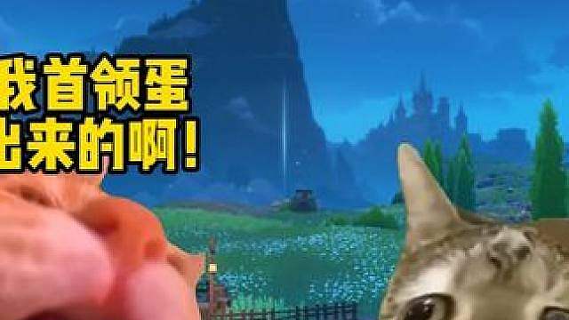 这就是新手保护期吗