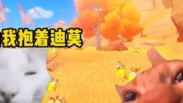 当我轻松刷到菊花梨异色